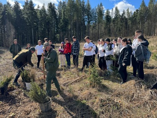 Acțiune de împădurire și educație forestieră la Suceava