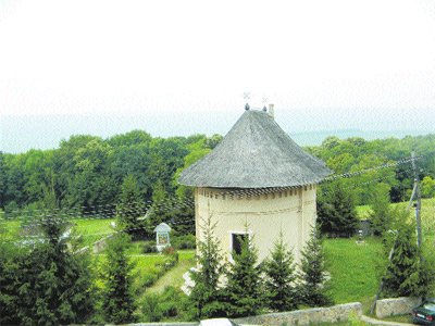 Mănăstirea Lacuri şi-a serbat cel de-al doilea hram Poza 98905