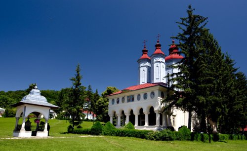 Mărturii de nevoinţă la Mănăstirea Ciolanu Poza 99120
