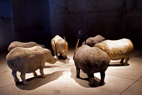 Rinocerul lui Cristian Răduţă, la Galeria Atelier Poza 100346