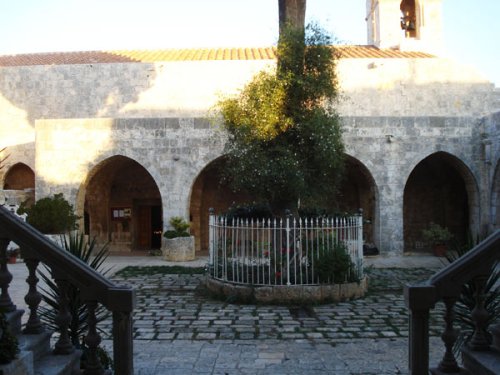 Mănăstirea Balamand, o fortăreaţă ortodoxă Poza 102132
