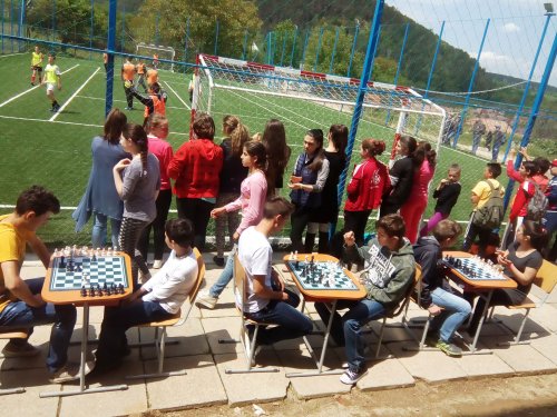 Activităţi de ecologizare şi competiţii sportive, la Sibiu Poza 59504