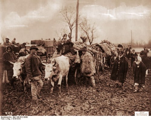 Rolul Bisericii Ortodoxe Române în timpul Primului Război Mondial (1916 1918) Poza 54151