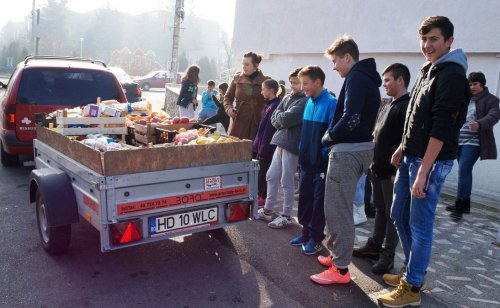 Fructe și legume oferite centrelor parohiale din Sibiu şi Deva Poza 48884