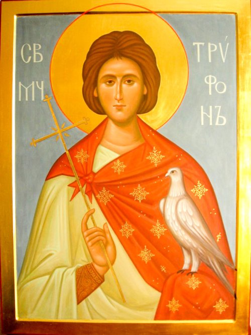 Tradiţii de Sfântul Trifon în Oltenia Poza 45250