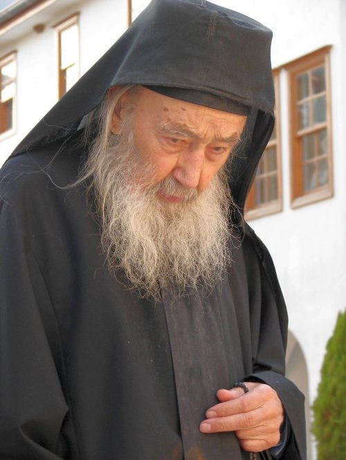 Părintele Petroniu Tănase Prodromitul – scriitor Poza 43799