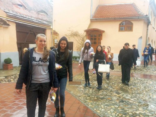Activitate de voluntariat la  Biserica Azilului din Sibiu Poza 42965