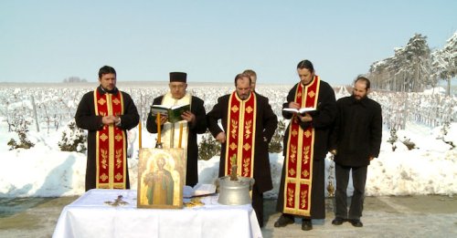 Tradiţii de Sfântul Trifon în Oltenia Poza 24082