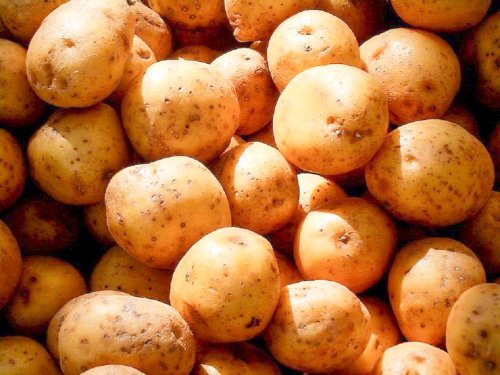 Cartofii, mai puțini și mai scumpi Poza 13258