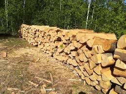 Măsuri pentru rezolvarea crizei lemnului de foc Poza 8095