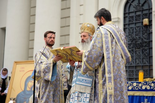 Sfânta Liturghie de Bobotează săvârșită la patru altare în incinta Ansamblului mitropolitan din Iași Poza 199984