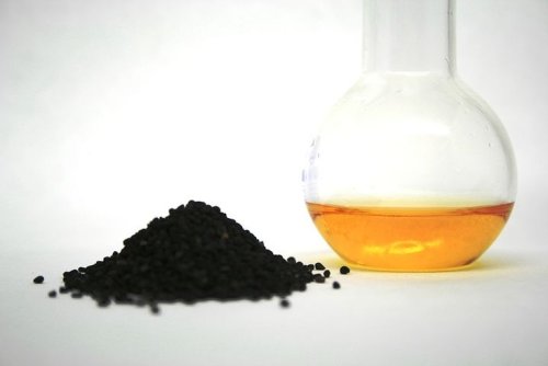 Uleiul de negrilică, o alternativă la uleiul de măsline  Poza 258057