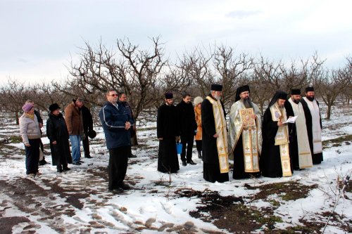 Sfântul Mucenic Trifon, sărbătorit în Arhiepiscopia Dunării de Jos