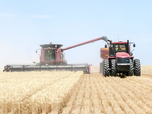 România, a opta putere agricolă în Uniune