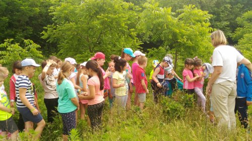 Activități ecologice cu clasele primare, la Liceul Ortodox din Oradea
