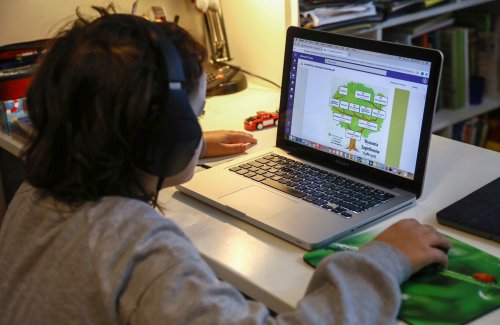 Minusurile educaţiei on-line: medii neîncheiate şi pierderi de conţinut