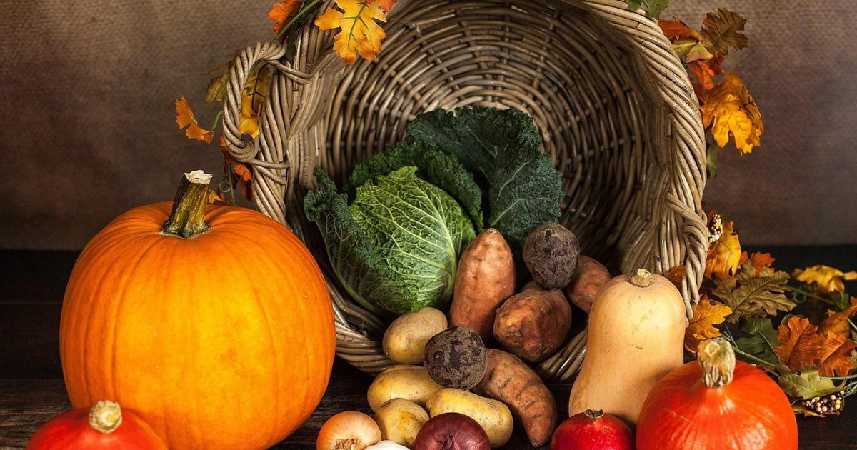 Roadele toamnei - bogăţie de vitamine, minerale, fitonutrienţi