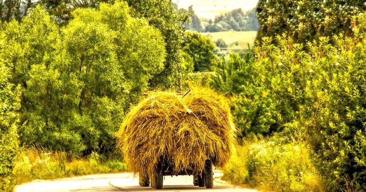 Țară, țărână, țărani