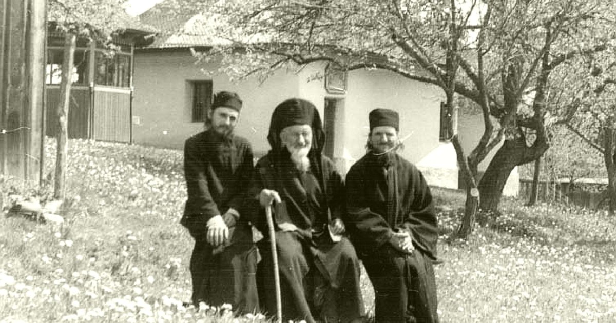 Pustnicii și Schitul Horăicioara