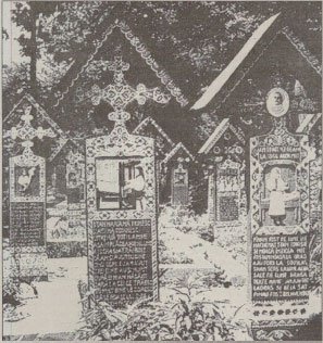 Cărarea ce urcă de la Săpânța 239727