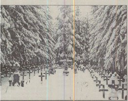 Păirinţii Paisie Olaru și Cleopa llie de la Sihăstria, uitați în rugăciunile și amintirile noastre 239725