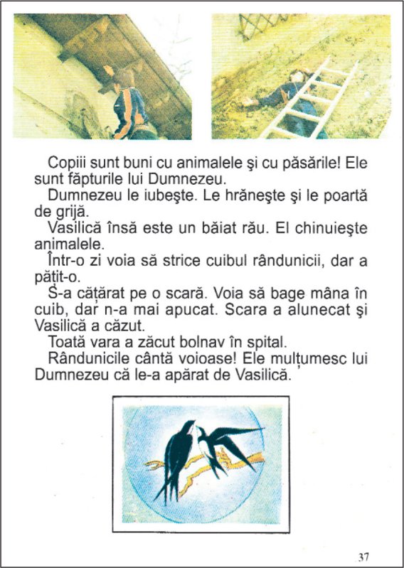 Liga Pro Europa i-a tras scara lui Vasilică 334327