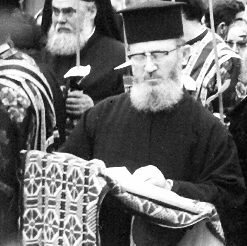 Arhimandritul Partenie Apetrei - către poarta luminii 243144