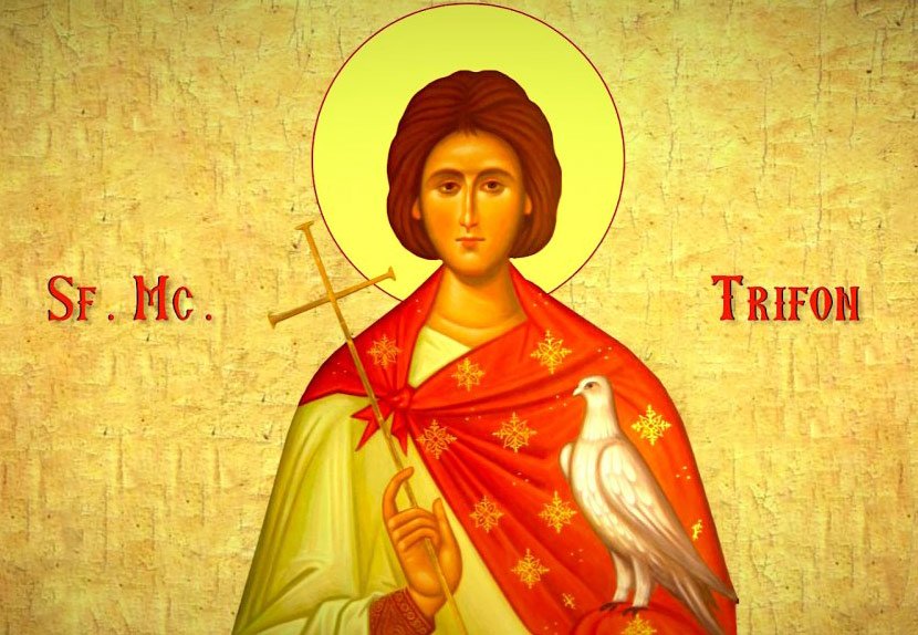 Sfântul Trifon şi Maica Domnului 201960