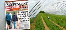 Povestea unui bulgar, muncitor agricol în Anglia rurală 94780