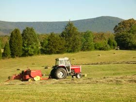 Fermierii ar putea primi un avans de 70% din plăţile pentru 2009 94857