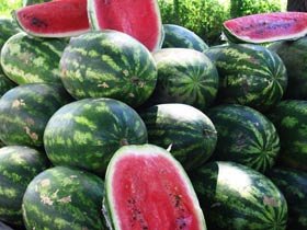 Vara, anotimpul curelor de fructe 94853