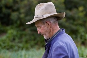 Renta viageră va fi înlocuită cu pensionarea timpurie 94871