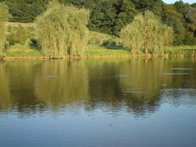 Flori rare, arbori seculari, grote de calcar, în rezervaţiile naturale ale Moldovei 94915