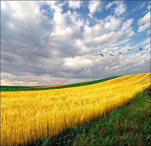 Ţelul vieţii creştine 94940