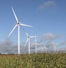 Energia regenerabilă ar putea revitaliza piaţa muncii în următorii 20 de ani 95024