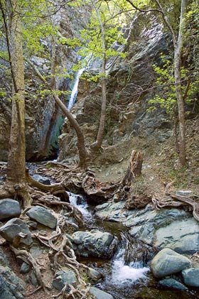 România va avea un Registru Naţional Integrat al speciilor de floră şi faună 95063