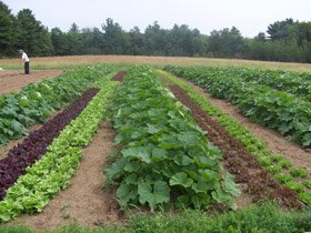 Cât câştigă, anual, un fermier francez 95247