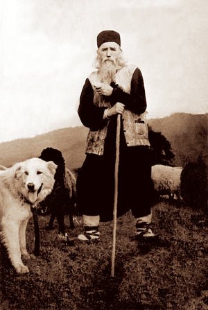 Şi ei au fost ciobani! 95363