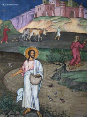 Inima curată şi bună - omul care face roditor cuvântul lui Dumnezeu 95558