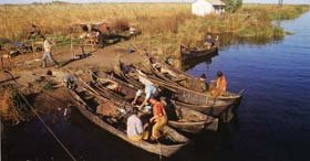 Proiect inedit de promovare a Deltei Dunării 95681