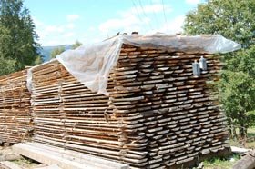 Proiecte pentru dezvoltarea microîntreprinderilor din mediul rural 95746