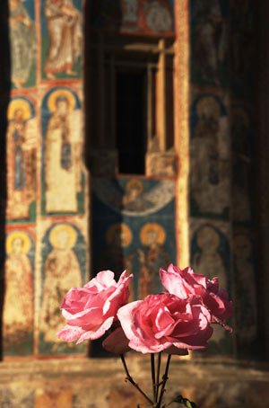 Biblia - verset cu verset: „N-am văzut eu, oare, în faţă pe Cel ce m-a văzut?“ 95903