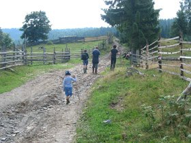 Jumătate de miliard de euro pentru infrastructura rurală şi forestieră 96107