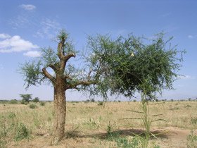 De unde scoate economia mondială mii de miliarde de euro pentru mediu? 96207