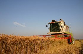 Codul de bune practici şi primul siloz - principalele câştiguri din sectorul agricol 96355