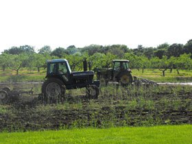 Fermierii cer dobânzi de maximum 6% la creditele agricole 96474