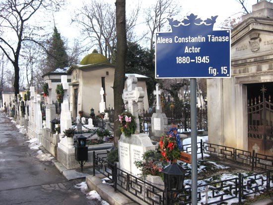 Cimitirul baronului Bellu, locul în care ne dorm elitele 96479