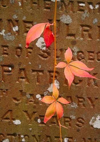 La început era acrostihul 96762