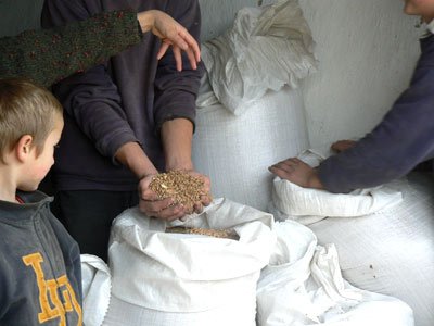 Fermierii pot depune cererile pentru subvenţii începând cu 1 martie 96994