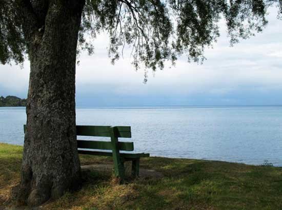 Făptuirea şi contemplaţia la Petru Damaschin 97062